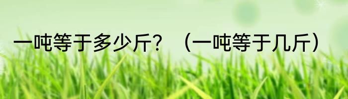 一吨等于多少斤？（一吨等于几斤）