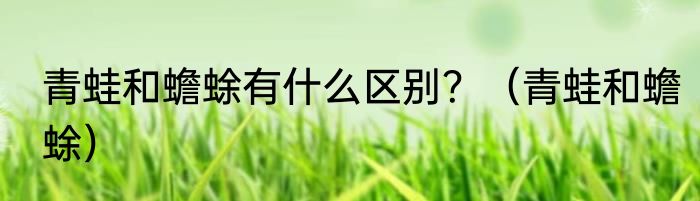青蛙和蟾蜍有什么区别？（青蛙和蟾蜍）