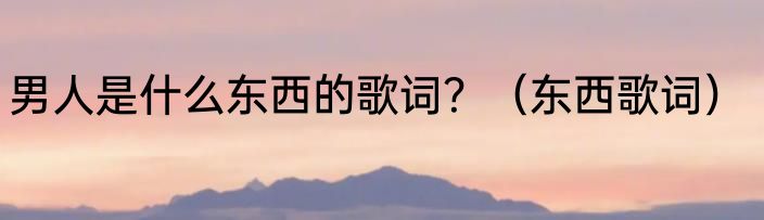 男人是什么东西的歌词？（东西歌词）