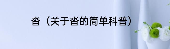 沓（关于沓的简单科普）