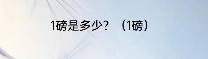 1磅是多少？（1磅）