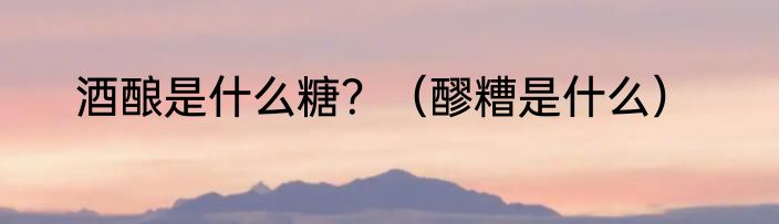酒酿是什么糖？（醪糟是什么）