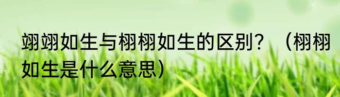 翊翊如生与栩栩如生的区别？（栩栩如生是什么意思）