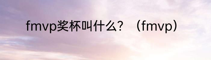 fmvp奖杯叫什么？（fmvp）