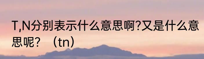 T,N分别表示什么意思啊?又是什么意思呢？（tn）