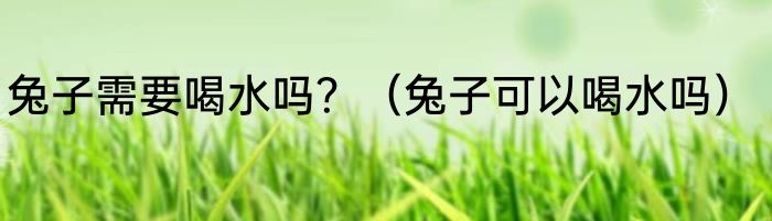 兔子需要喝水吗？（兔子可以喝水吗）