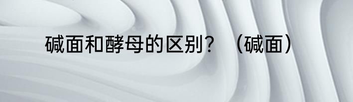 碱面和酵母的区别？（碱面）