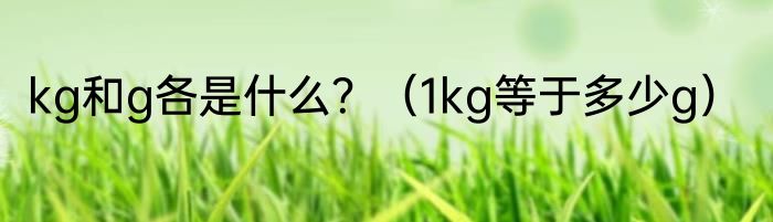 kg和g各是什么？（1kg等于多少g）