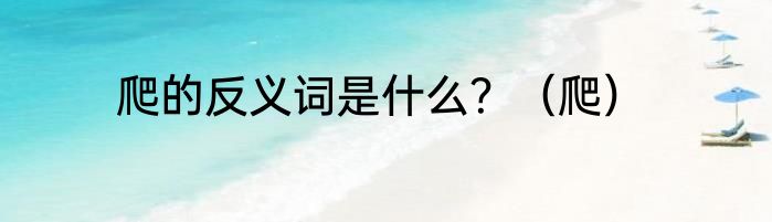 爬的反义词是什么？（爬）