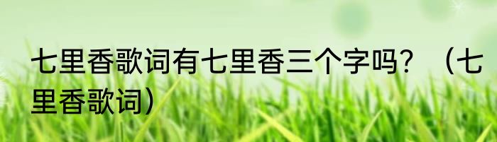 七里香歌词有七里香三个字吗？（七里香歌词）
