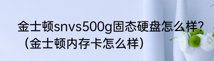 金士顿snvs500g固态硬盘怎么样？（金士顿内存卡怎么样）