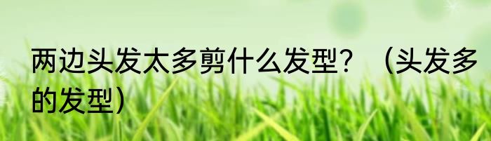 两边头发太多剪什么发型？（头发多的发型）