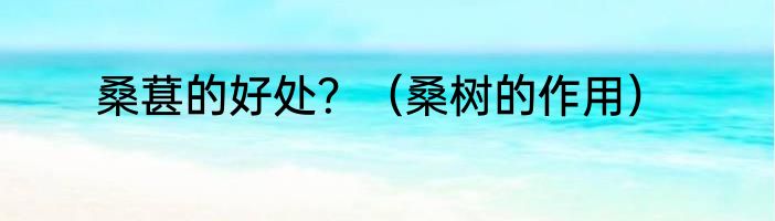 桑葚的好处？（桑树的作用）