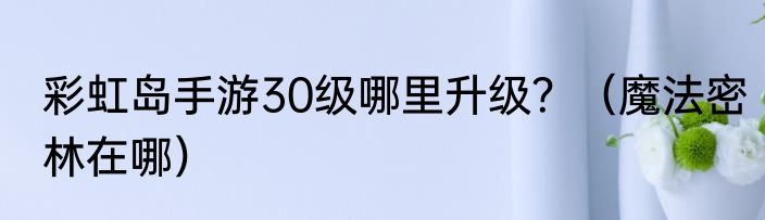 彩虹岛手游30级哪里升级？（魔法密林在哪）