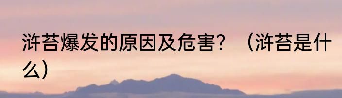 浒苔爆发的原因及危害？（浒苔是什么）