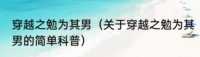 穿越之勉为其男（关于穿越之勉为其男的简单科普）
