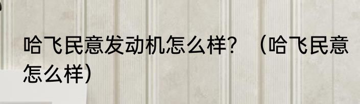 哈飞民意发动机怎么样？（哈飞民意怎么样）