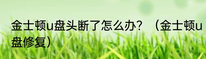 金士顿u盘头断了怎么办？（金士顿u盘修复）