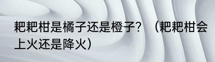 耙耙柑是橘子还是橙子？（耙耙柑会上火还是降火）