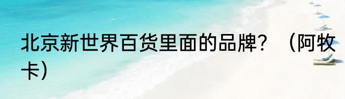 北京新世界百货里面的品牌?(阿牧卡)
