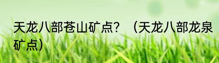 天龙八部苍山矿点？（天龙八部龙泉矿点）