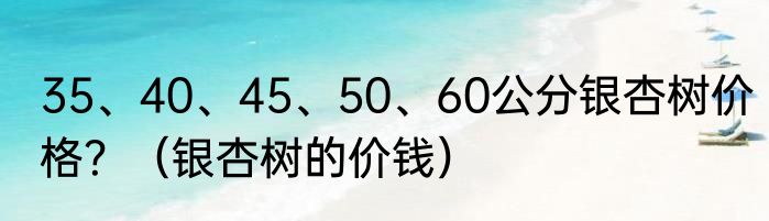 35、40、45、50、60公分银杏树价格?(银杏树的价钱)