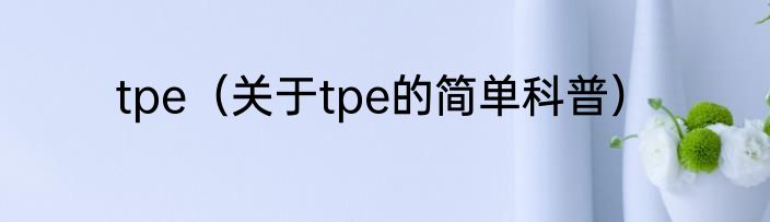 tpe（关于tpe的简单科普）