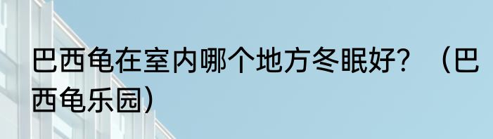 巴西龟在室内哪个地方冬眠好？（巴西龟乐园）