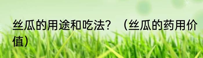 丝瓜的用途和吃法？（丝瓜的药用价值）