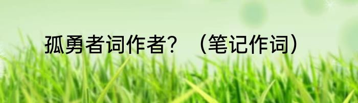 孤勇者词作者？（笔记作词）