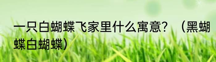 一只白蝴蝶飞家里什么寓意？（黑蝴蝶白蝴蝶）