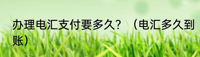 办理电汇支付要多久？（电汇多久到账）