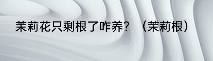 茉莉花只剩根了咋养？（茉莉根）