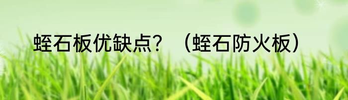 蛭石板优缺点？（蛭石防火板）