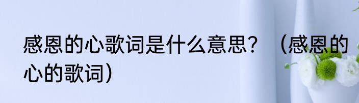 感恩的心歌词是什么意思？（感恩的心的歌词）