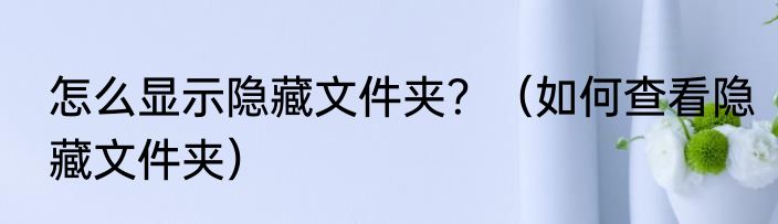 怎么显示隐藏文件夹？（如何查看隐藏文件夹）
