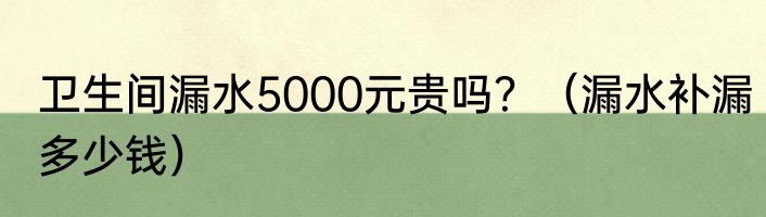 卫生间漏水5000元贵吗？（漏水补漏多少钱）