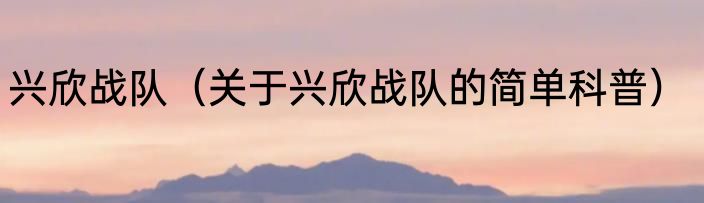 兴欣战队（关于兴欣战队的简单科普）