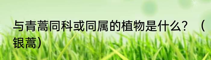 与青蒿同科或同属的植物是什么？（银蒿）