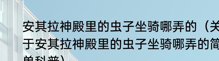 安其拉神殿里的虫子坐骑哪弄的（关于安其拉神殿里的虫子坐骑哪弄的简单科普）