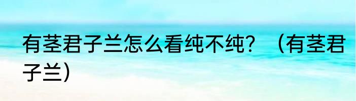 有茎君子兰怎么看纯不纯？（有茎君子兰）