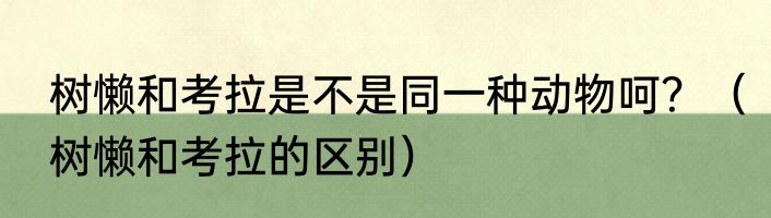 树懒和考拉是不是同一种动物呵？（树懒和考拉的区别）