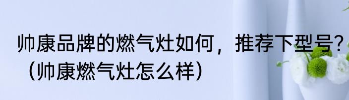 帅康品牌的燃气灶如何，推荐下型号？（帅康燃气灶怎么样）
