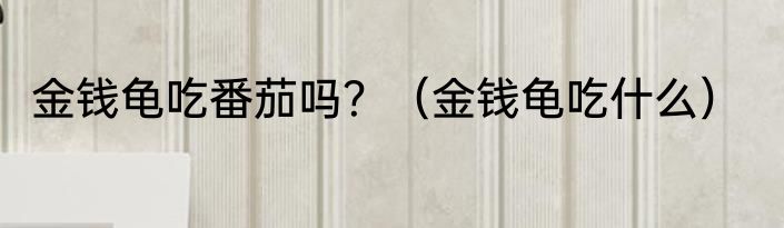金钱龟吃番茄吗？（金钱龟吃什么）