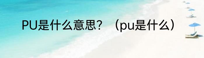 PU是什么意思？（pu是什么）