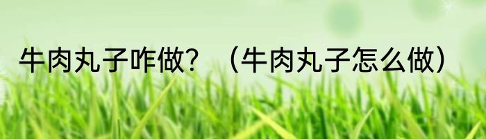 牛肉丸子咋做？（牛肉丸子怎么做）