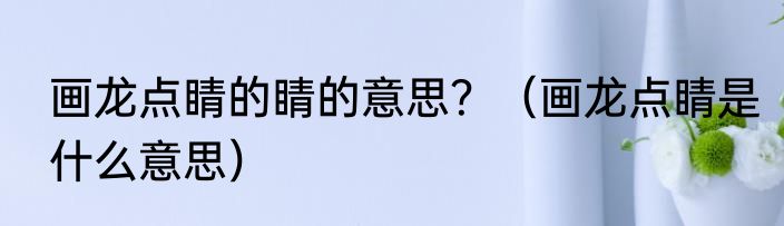 画龙点睛的睛的意思？（画龙点睛是什么意思）