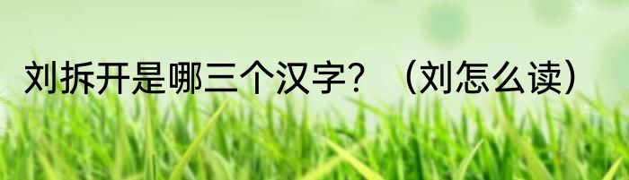 刘拆开是哪三个汉字？（刘怎么读）