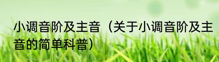 小调音阶及主音（关于小调音阶及主音的简单科普）