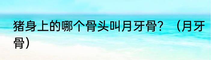 猪身上的哪个骨头叫月牙骨？（月牙骨）